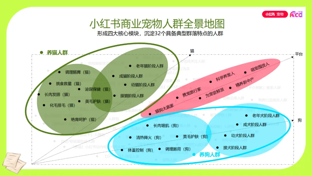 九游娱乐：新时代养宠人图鉴小红书人群洞察助力品牌精准营销(图3)