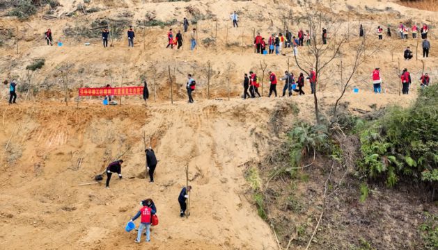 九游娱乐：发动社会力量活化绿美产业推动蓬江优品新发展(图7)