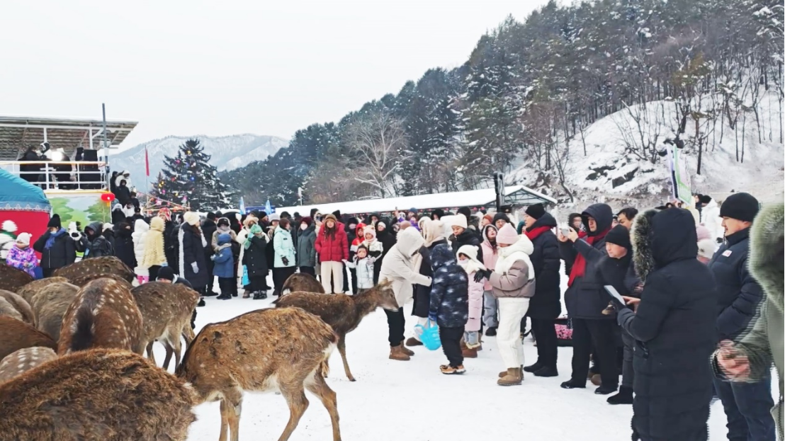 九游娱乐：冰雪伊春真热！森林冰雪线%(图1)