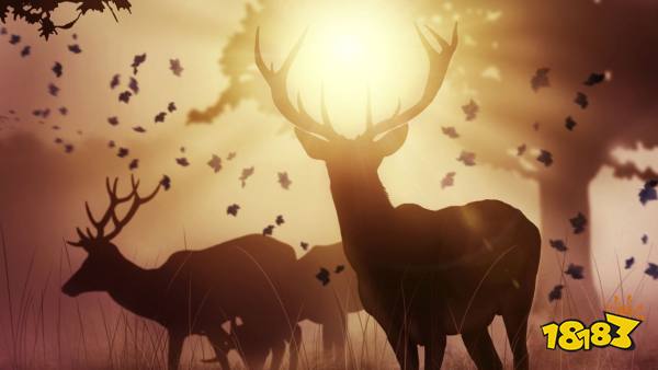 2024荒野大镖客2全陌生人任务攻略全陌生人位置介绍(图6)