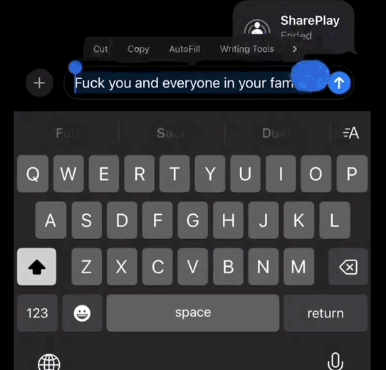 苹果AI版iOS首日火爆：聊天秒变高情商大模型成最强嘴替(图3)