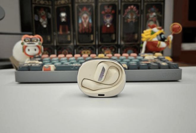 运动蓝牙耳机选购攻略有哪些？2024口碑排行榜TOP5推荐(图7)