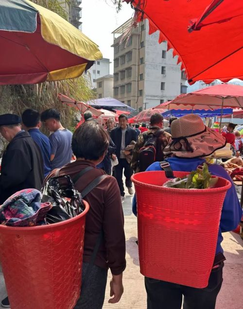 一个10万人口小县精简了10个部门后(图2)