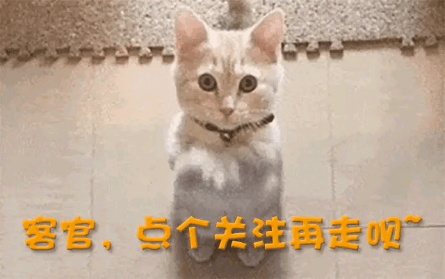 韩磊妻子发表声明！主持人白瑞真面目曝光连麦女子将被追究刑责(图7)