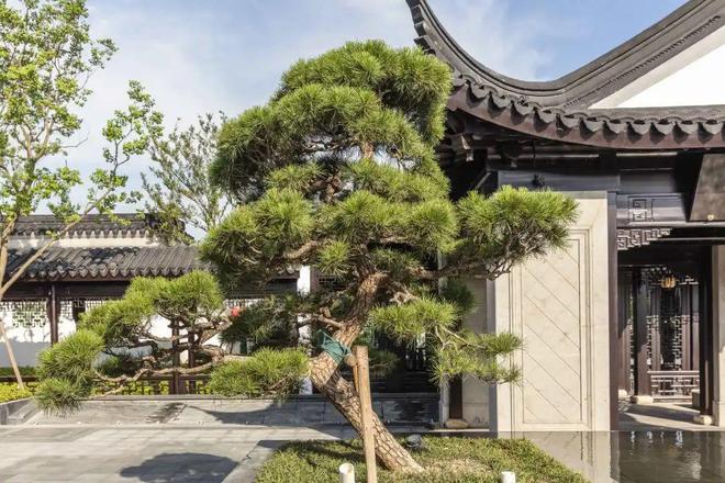 最新聚焦璟雲里-上海璟雲里楼盘详情-上海房天下(图12)