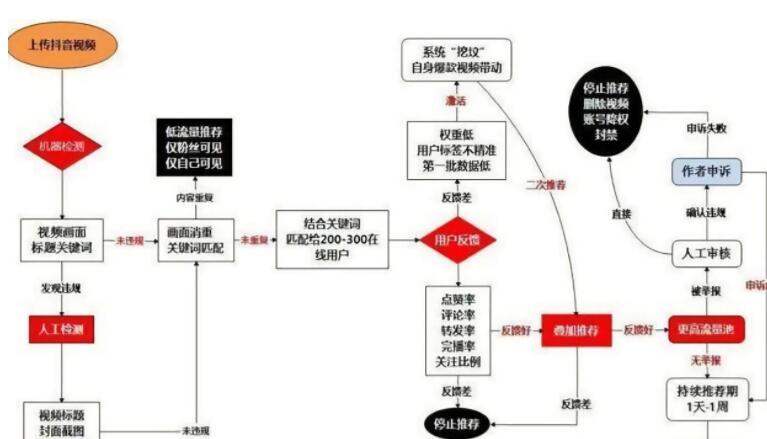 新手轻松快速掌握抖音推荐算法核心技巧-第2张图片-小七抖音培训 新手轻松快速掌握抖音推荐算法核心技巧(图2)